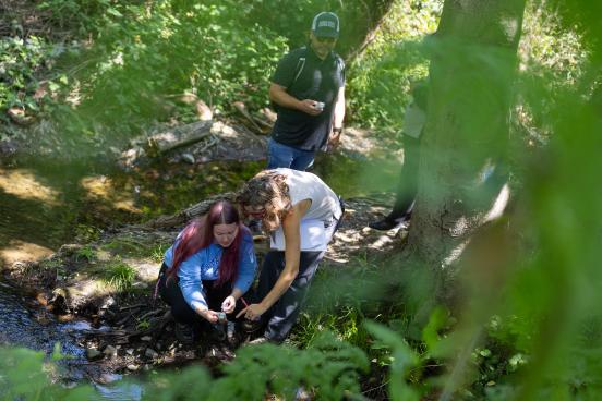 GEP students in a creek working with temperature monitoring equipment