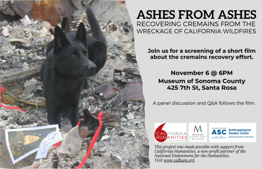 Ashes From Ashes