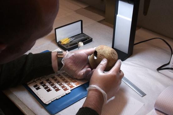 Anthropology student analyzing ceramics