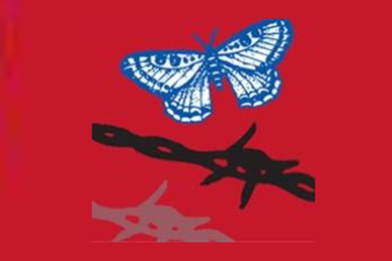 A blue butterfly and barbed wire on a red background