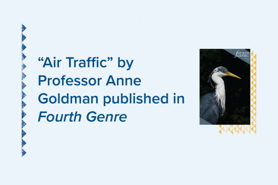 "Air Traffic" by Professor Anne Goldman published in Fourth Genre