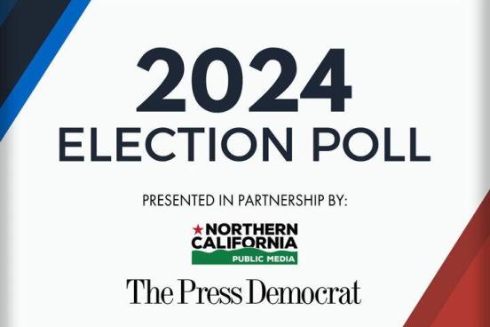 2024 Election Poll
