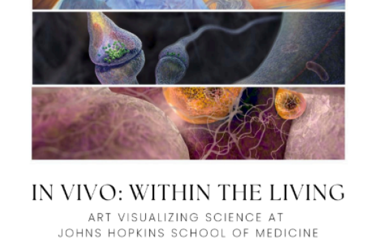 In Vivo: Within the Living In Vivo: Within the Living
