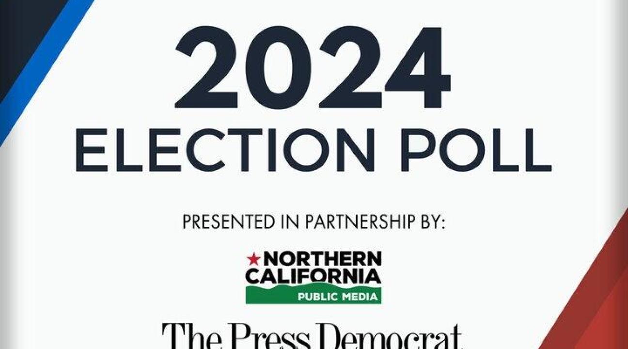 2024 Election Poll