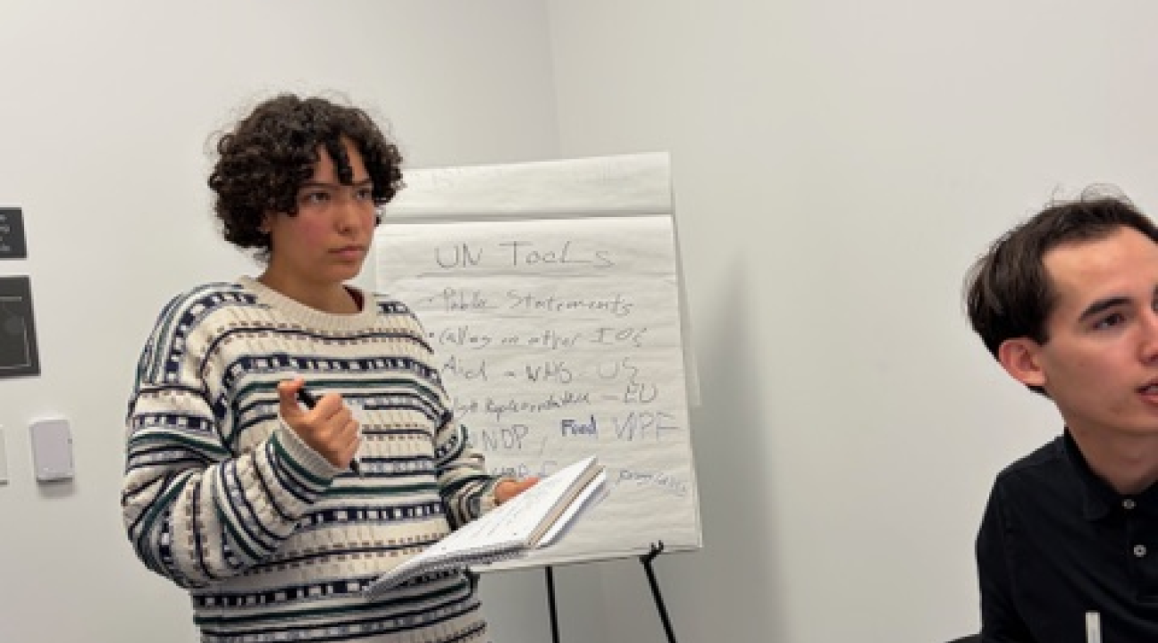 Genocide Prevention Simulation