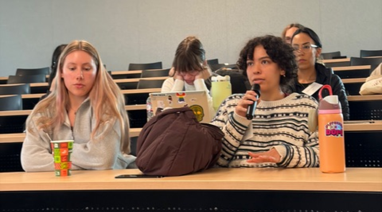 Genocide Prevention Simulation