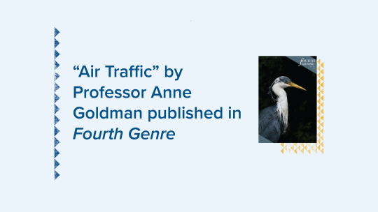 "Air Traffic" by Professor Anne Goldman published in Fourth Genre