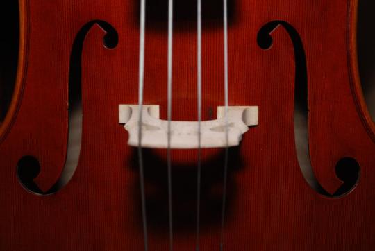 Violin Violin