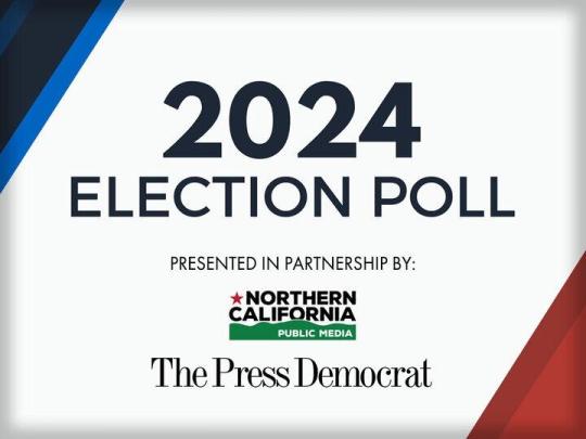 2024 Election Poll