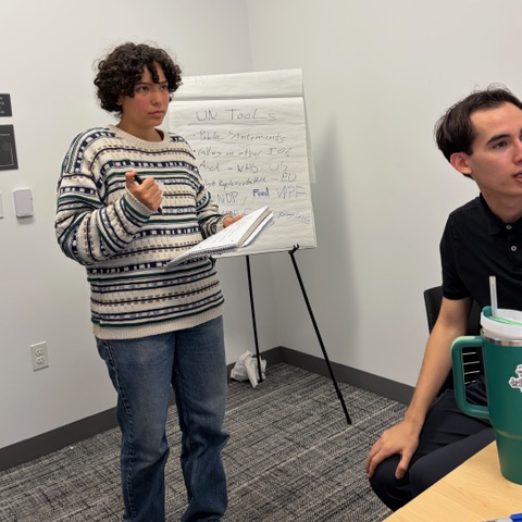 Genocide Prevention Simulation