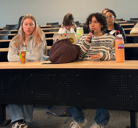 Genocide Prevention Simulation